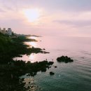 한·미 행정사사무소 이미지