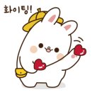 라인댄스(낮) 이미지