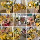 더피우리 이미지