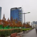 금융단지로 이미지