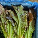 오기농장 이미지