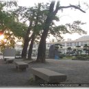 만덕초교 이미지