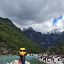 설산 | 운남성 옥룡설산 빙천공원,람월곡 후기(feat:중국의 스위스)