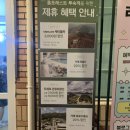 국산로 | [거제숙소] 홈포레스트 리조트 패밀리스위트룸 솔직후기 / 제휴혜택/ 할인방법 / 거제가족여행 숙소