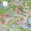 한국지엠상주바로서비스 | 상하이 푸동공항 호텔 캐리어 수하물 배송 후기 + 디즈니랜드 짐보관 꿀팁(T-Luggage Porter, Luggagent)