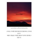 라이크홈 | 부산 3대 커피“라이크댓커피”드립백 후기/드립백추천/홈카페 드립백/스페셜티 추천♥️