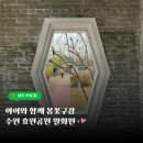 돌다리공원 | 수원 효원공원 월화원 아이와 꽃구경(주차장 벚꽃)