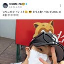 간다간다뿅간다