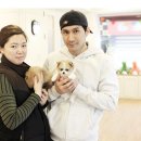 전생에인연펫 이미지