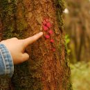 사려니 팬션 이미지