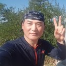 고송골 Daum카페