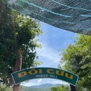 지존목장 | 나트랑 4일차(1) 판랑사막투어 시작합니다! 양떼목장으로 고고싱 | 나트랑 3박 5일 자유여행