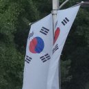 명문부부치과의원 Daum카페