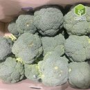브로콜리