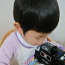 용배축산