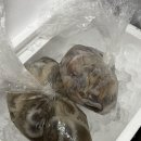 해수바다이야기 | [남당항 맛집]새조개 축제 "남당항푸른바다" , 쭈꾸미와 새조개 택배 후기