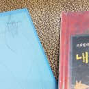 프뢰벨 테마동화 37권 만원 이미지