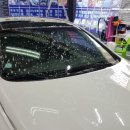 뉴월드비전 이미지