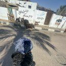 평화당구장 | 다합에서의 지극히 평범하면서 평화로웠던 것들