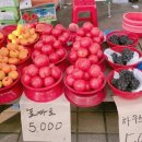 남창시장 이미지