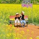 제44회 남도국악제 이미지