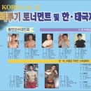 2008. 제9회 K-王 이종격투기 Tournament GP (초대권 및 해피데이고창신문기사) 이미지