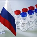 보란파마 이미지