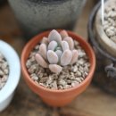 동미농장 이미지