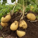 동의보감해독한의원 이미지