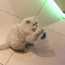 신나는노래연습장 이미지