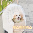 에스제이플라워 - 평택시 쇼핑로 36-7 | 에스제이텍스 플라워 레이스원단 후기와 유용한 팁!