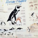 오대양육대주 이미지