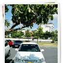 썬플라워의원 이미지