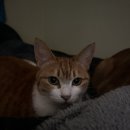 동은동물병원 이미지