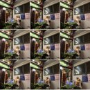 도당애견 | [이태원 해방촌] 신흥시장 | 달빛 흘러간 자리 | 애견 동반 | 24시간 심야 카페