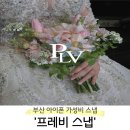 프레비스냅 | [가성비 아이폰스냅 추천] 프레비 스냅 부산 내돈내산 후기 (+짝궁코드 O)
