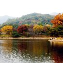 유스호텔 진입로 ~ 유스호텔 이미지