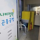 성원모텔 | 부산 렙타일포럼 후기 (2025.3.1~2)