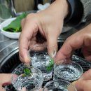 명산 산 꼼장어