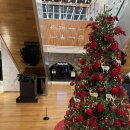 주식회사 센터원 서울지점 | 청계천 데이트 맛집 고민 끝! 아이랑 가기 좋은 매드포갈릭 센터원점 솔직후기 (+세트/할인 꿀팁)