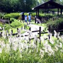 갯골생태공원 이미지