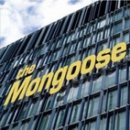 몽구스(Mongoose)