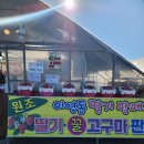 [강릉 이영돈딸기]신품종 홍희딸기가 나왔어요. 딸기 맛보러오세요🍓🍓