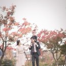 노리호텔 이미지