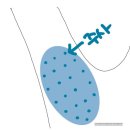 세란통마취통증의학과의원 이미지