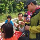 봉산초등학교 이미지