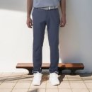 페르시안 캣 이미지