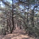 겸면사무소 이미지