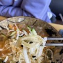 국수나무유성 이미지