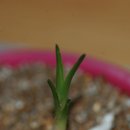 서반농장 이미지